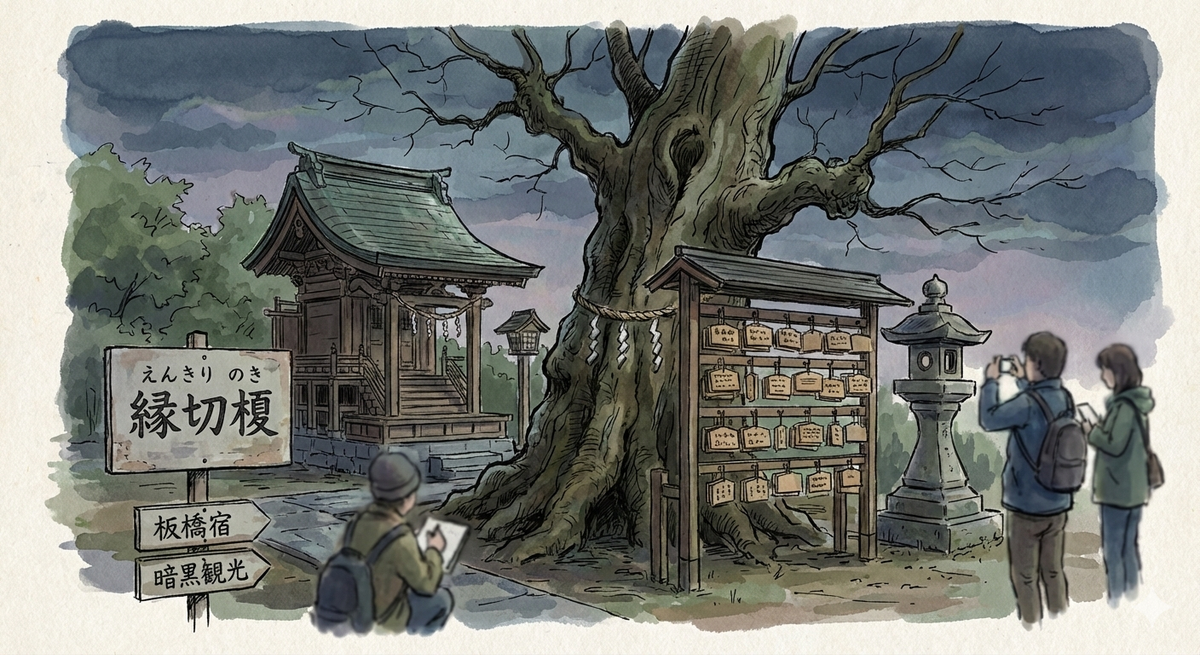 緣切榎實物與周邊神社的繪馬