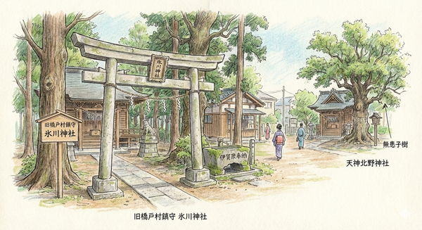 伊賀忍者眾（伊賀眾）在此落地生根的隱秘過往